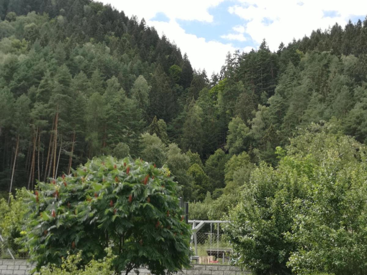 Villa Kärnten Radenthein Exteriör bild