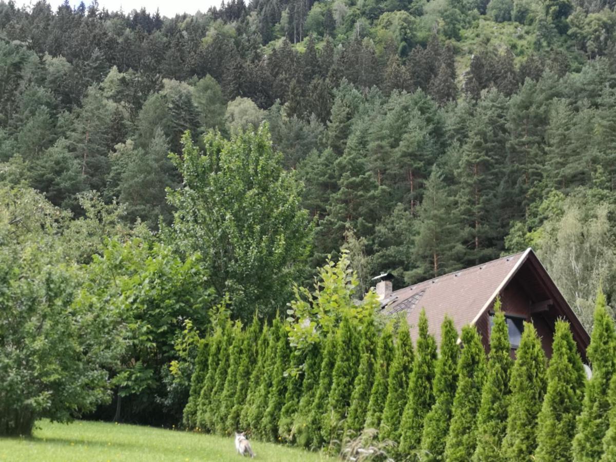 Villa Kärnten Radenthein Exteriör bild